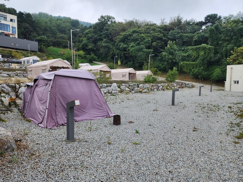 별빛마루 관광농원 시설 사진 29