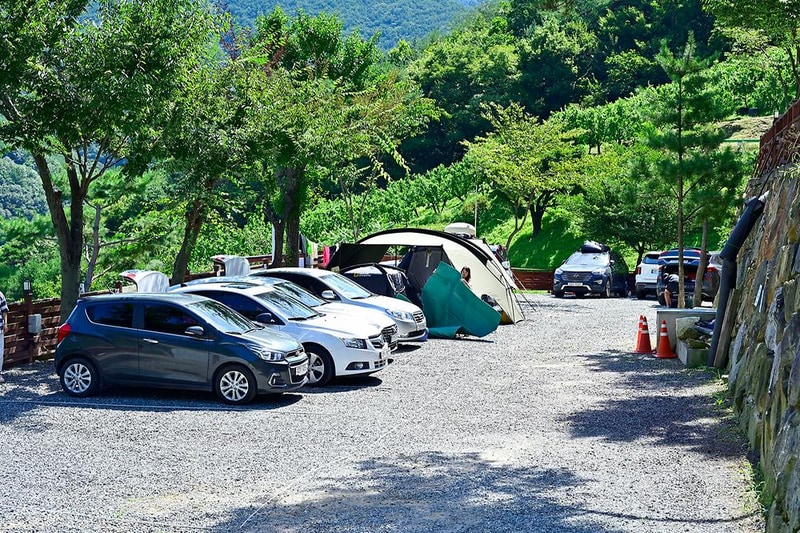 그린 앤 블루 시설 사진 11