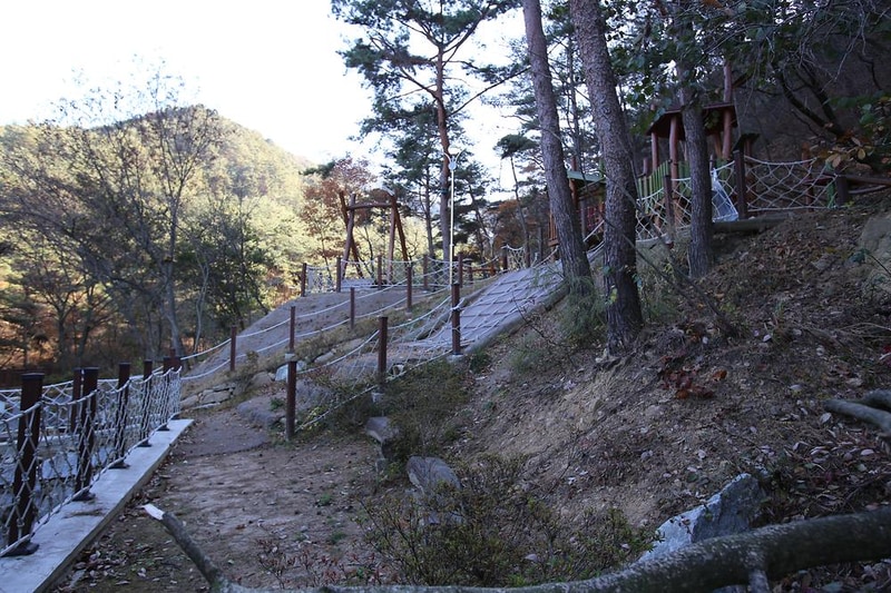 청계동 솔바람야영장 시설 사진 30