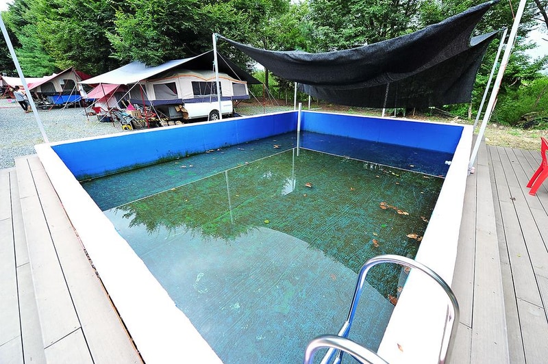 핫도그342애견글램핑카라반 주식회사 시설 사진 6