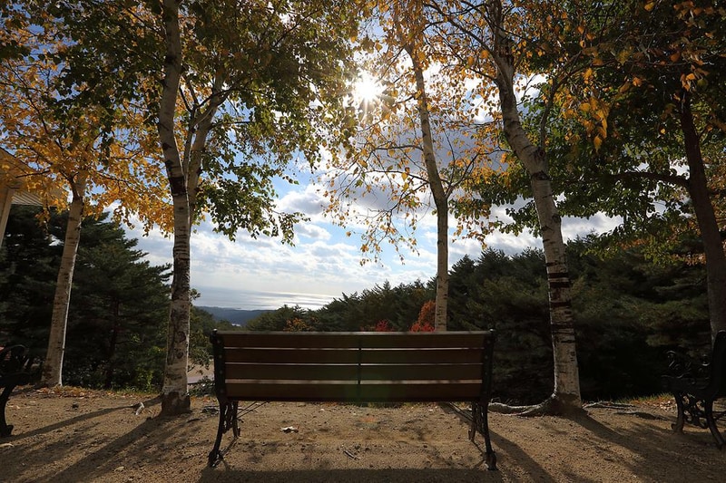 칠보산자연휴양림야영장 시설 사진 4