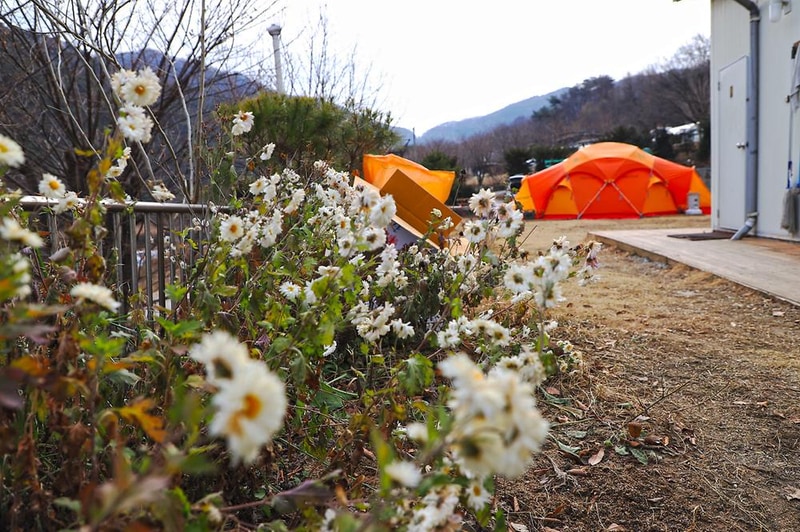 벳소캠프 시설 사진 16