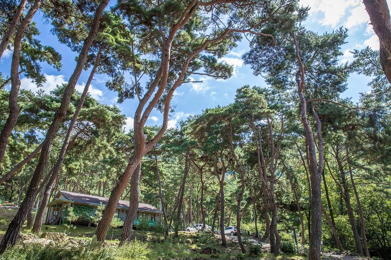 솔베이캠핑장 시설 사진 7