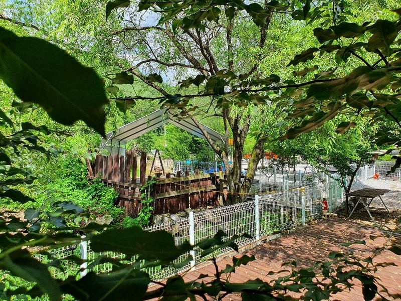 영월천문대 캠핑장 시설 사진 4