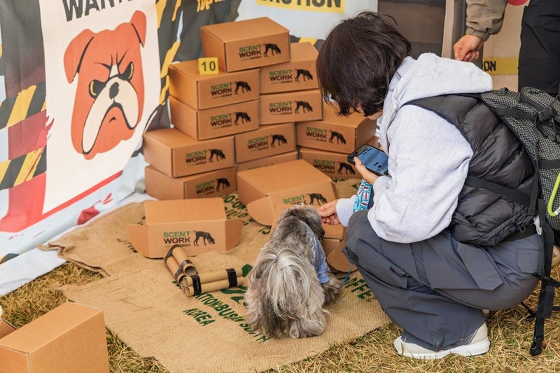 강천섬캠핑장 시설 사진 23