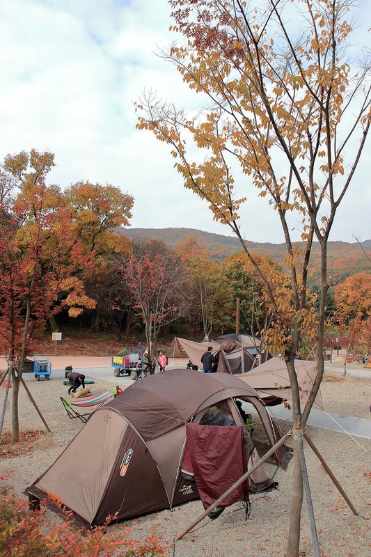 초막골생태공원 느티나무야영장 시설 사진 6