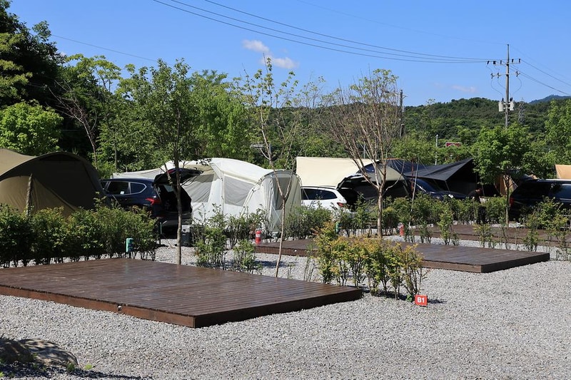 일칠일관광농원 시설 사진 5