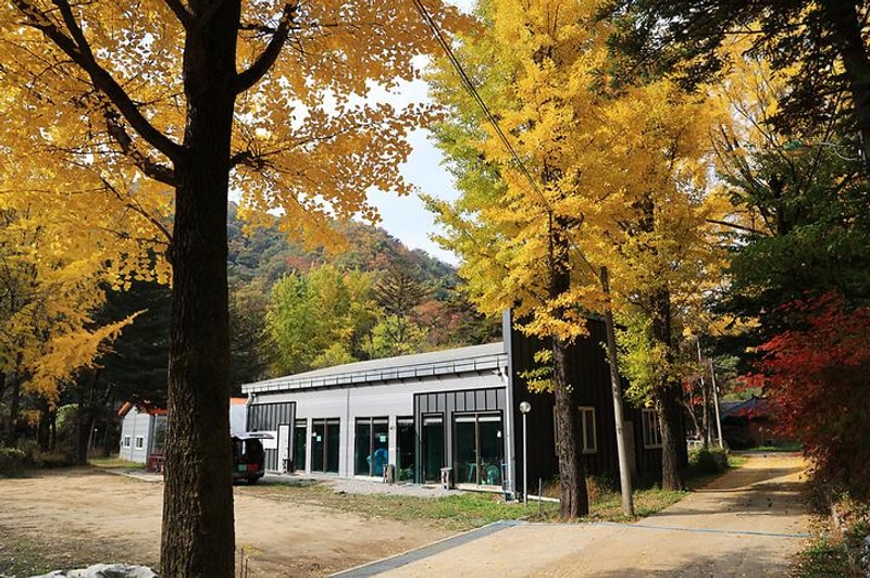 일영Star캠핑장 대표 사진