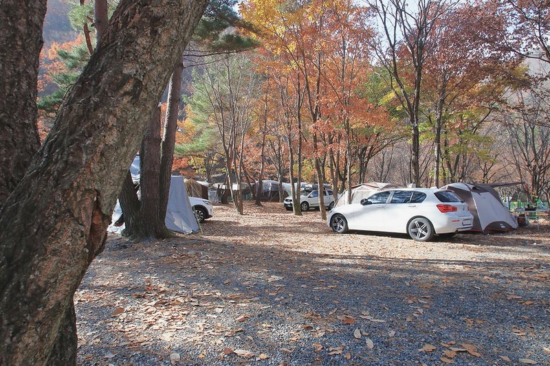 참나무숲 오토캠핑장 시설 사진 4