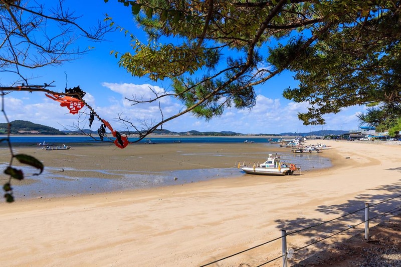 홀통183 캠핑장 시설 사진 13