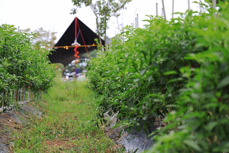 대부도 아라뜰 캠핑장 시설 사진 13