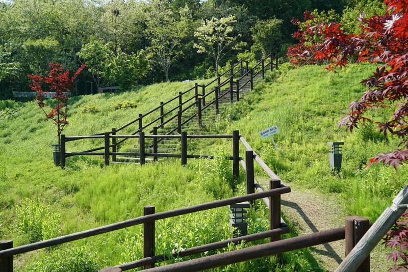 천왕산 가족캠핑장 시설 사진 46