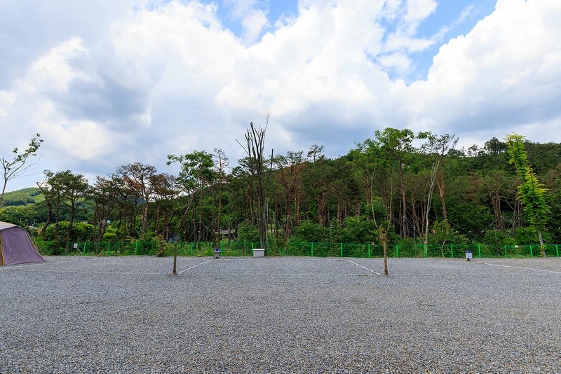 금계관광농원 시설 사진 12