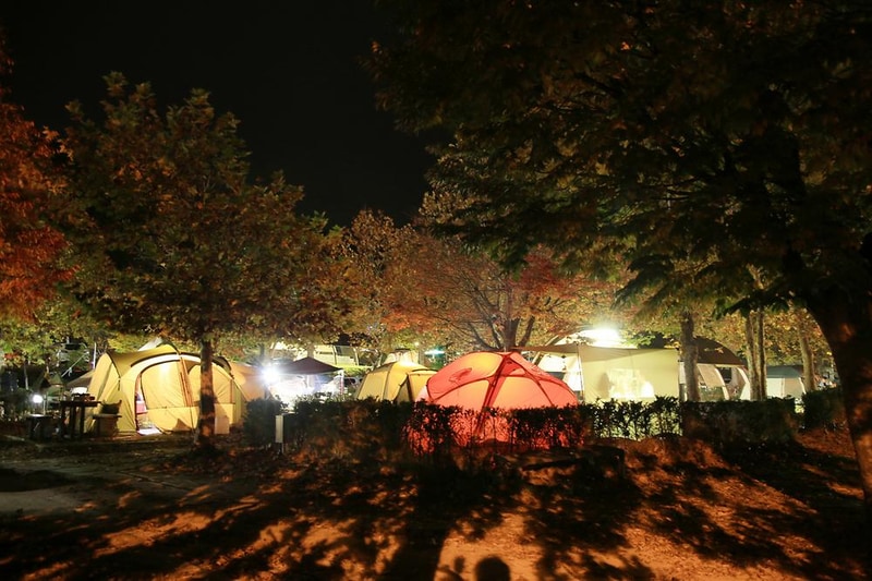 주왕산국립공원 상의자동차 야영장 시설 사진 8