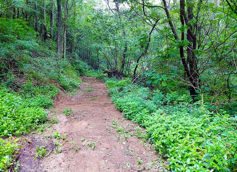 바람숲야영장 시설 사진 3