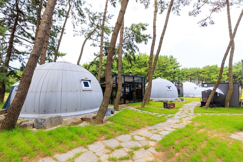 서천 장항글램핑장 시설 사진 8