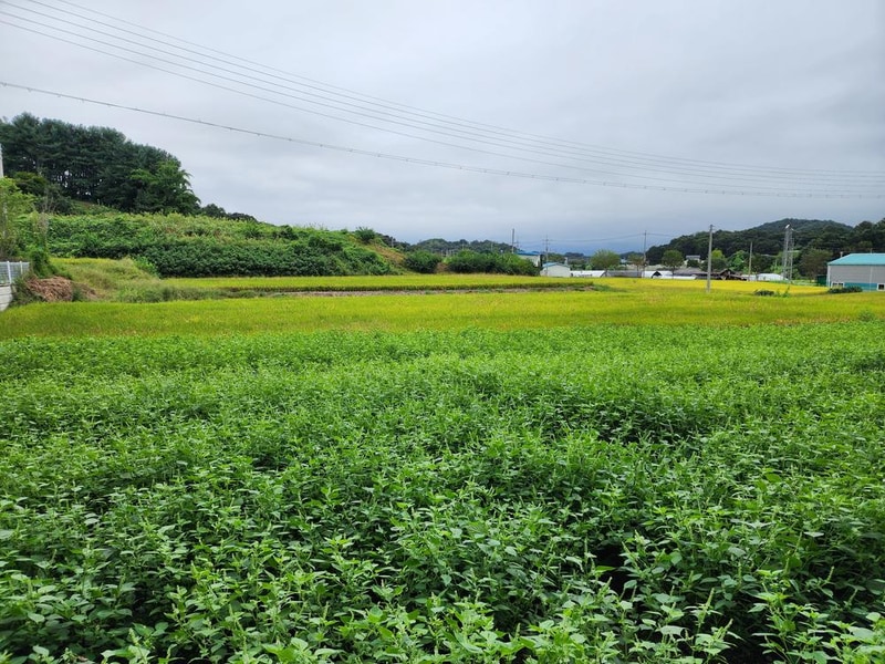그린바움캠핑장 시설 사진 22