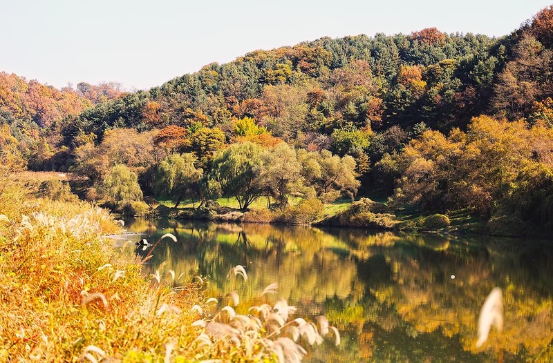 한탄강 카누 캠핑장 시설 사진 4