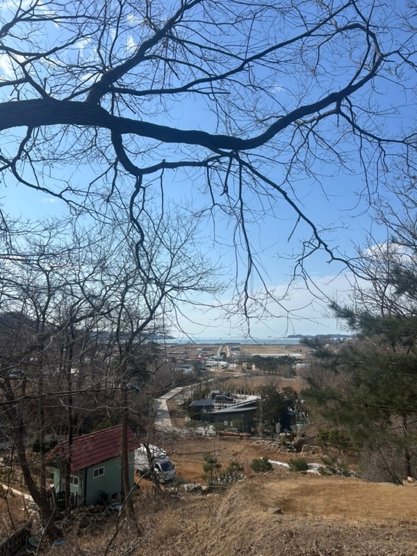 강화 물미 캠핑장