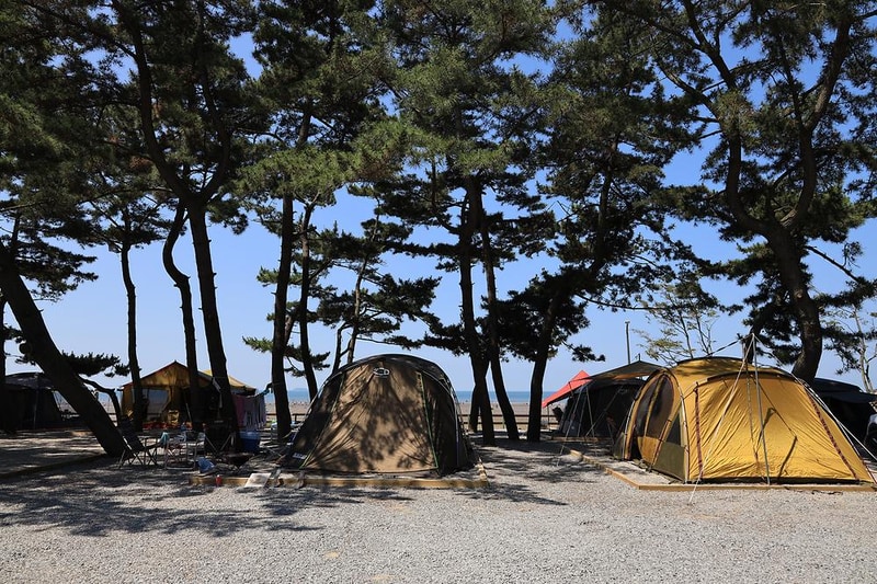 몽산포오토캠핑장 시설 사진 13