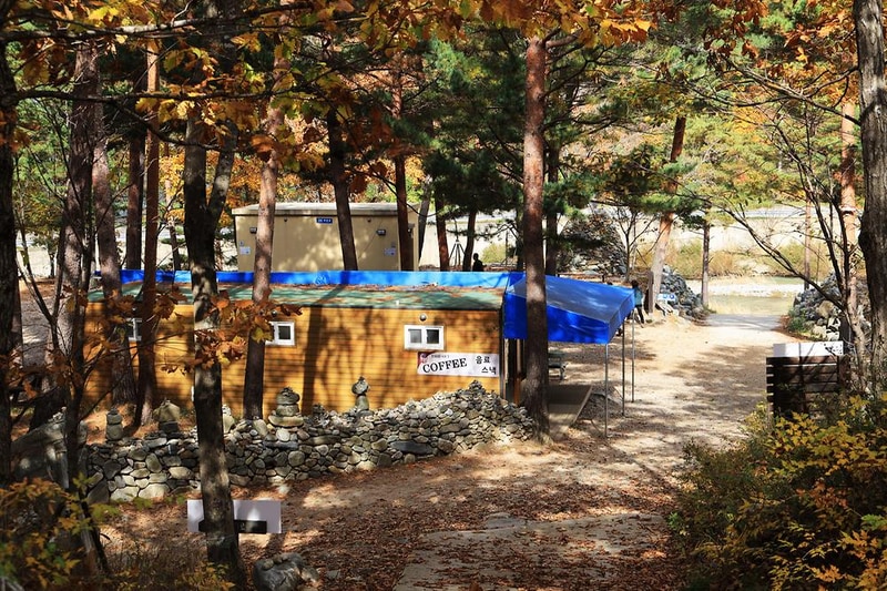 강릉 노추산 힐링캠프 시설 사진 2