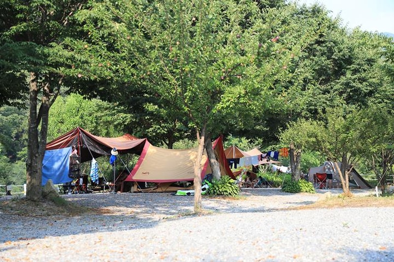 새막골 캠프 대표 사진