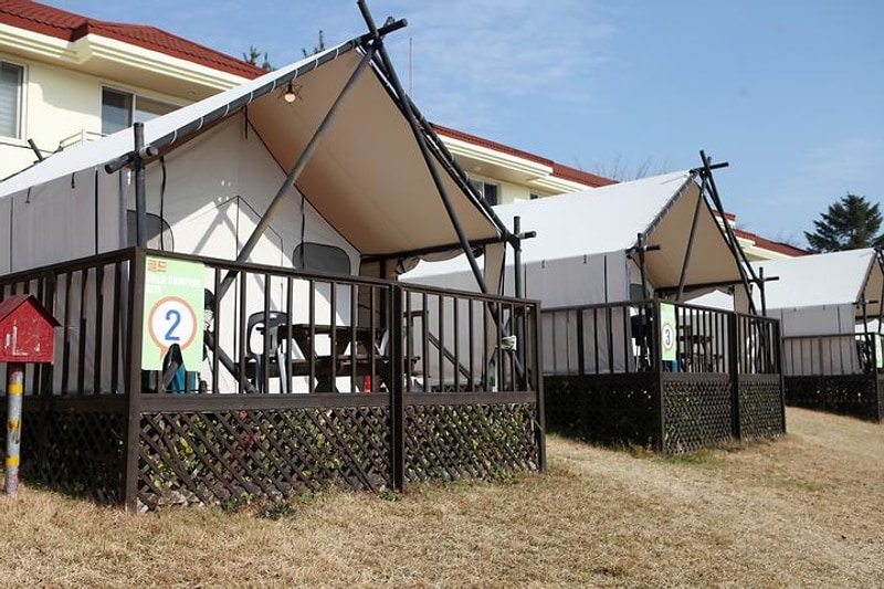 MK골드캠프 대표 사진