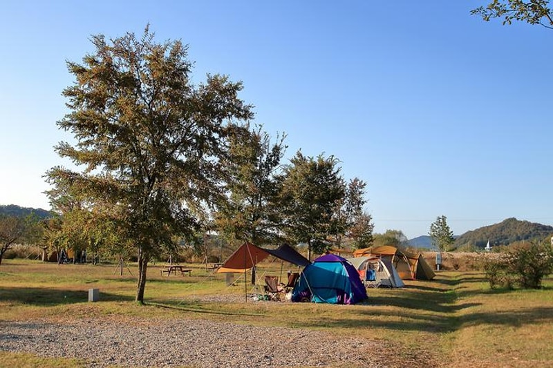 이포보 웰빙 캠핑장 대표 사진