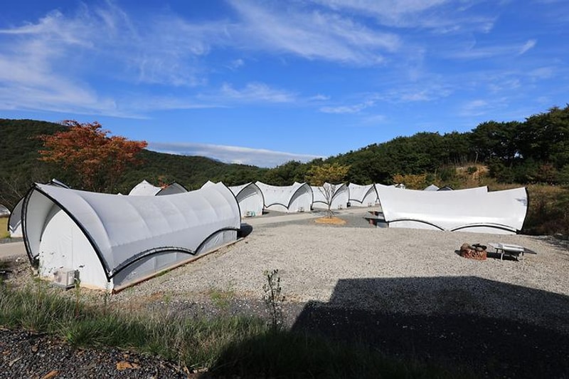 별숲글램핑 대표 사진