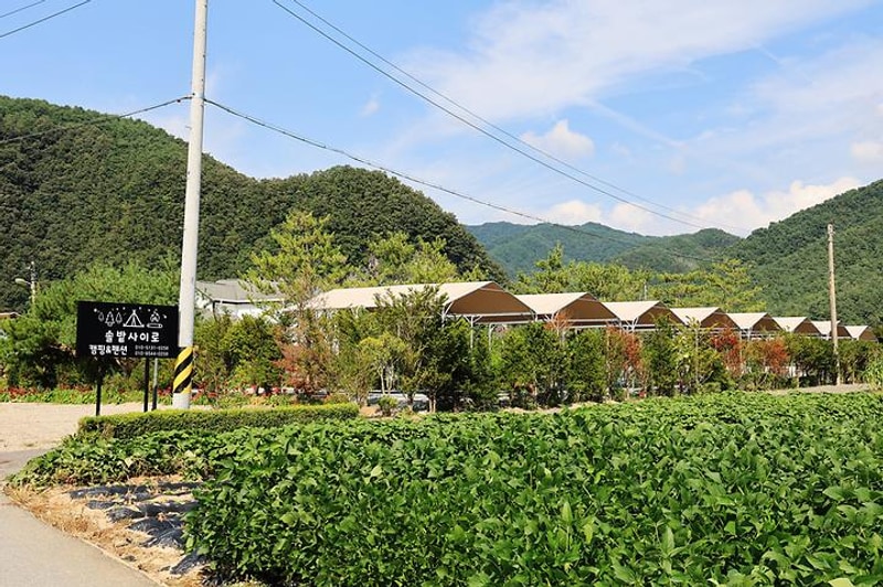 솔밭사이로 캠핑&펜션 대표 사진