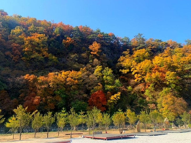 파인트리캠핑장 시설 사진 66