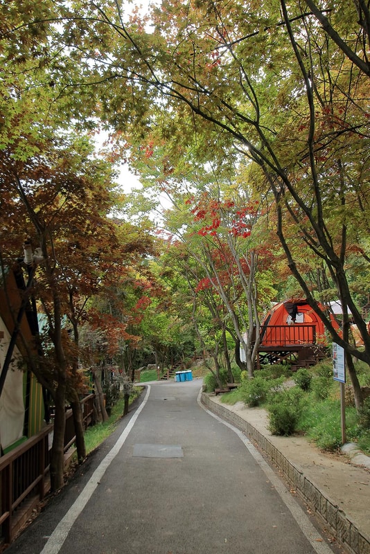 벨라캠핑장 시설 사진 17