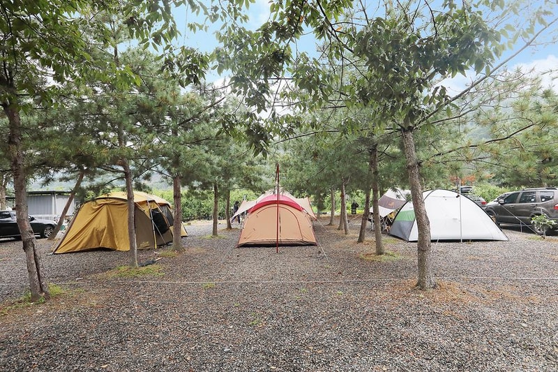 청도 지오오토캠핑장 시설 사진 6