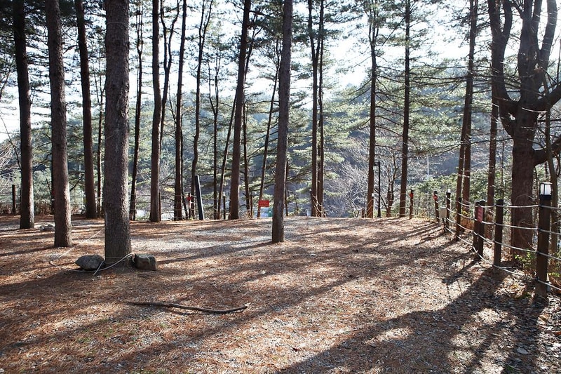 (주)수동자연마을 힐링별밤수목원캠핑장 시설 사진 4