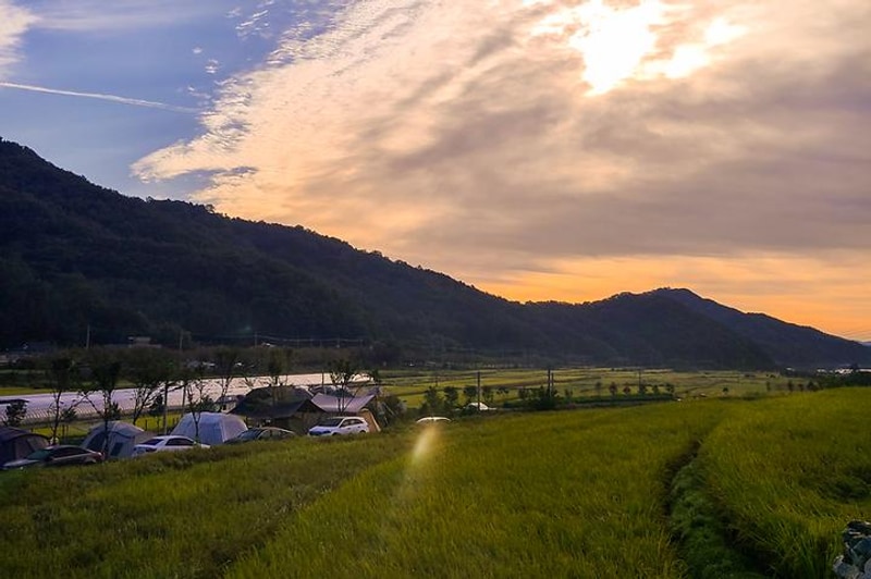 다시캠핑장위드펫 대표 사진
