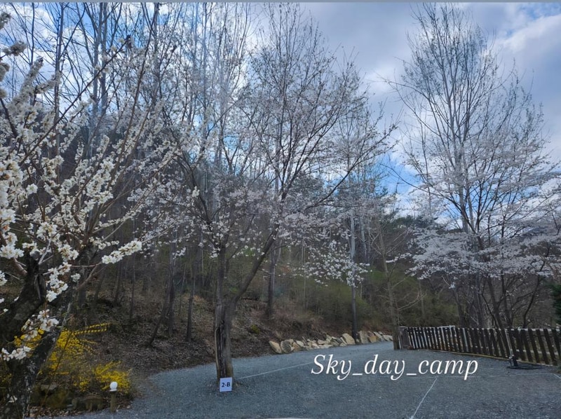 하늘하루자연관광농원 시설 사진 12