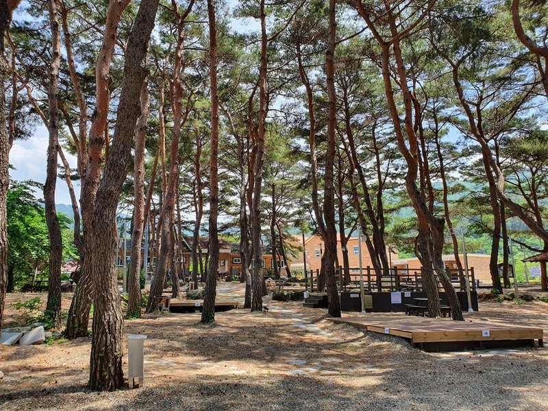 솔밭야영장 시설 사진 12