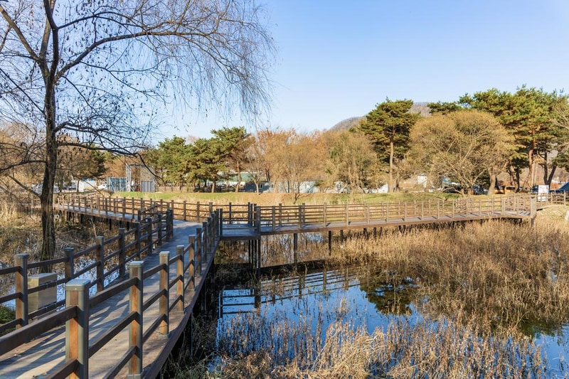 자라섬 캠핑장 시설 사진 65