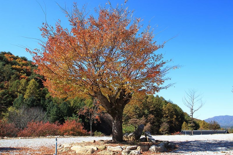 선달산계곡캠핑장 시설 사진 15