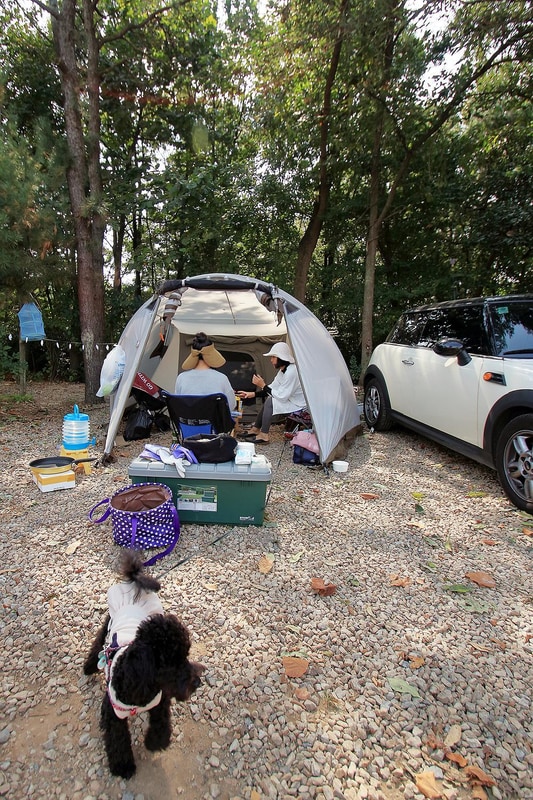 강화캠핑파크 시설 사진 4