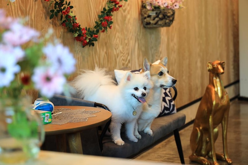 물동네 힐링 야영장 시설 사진 20