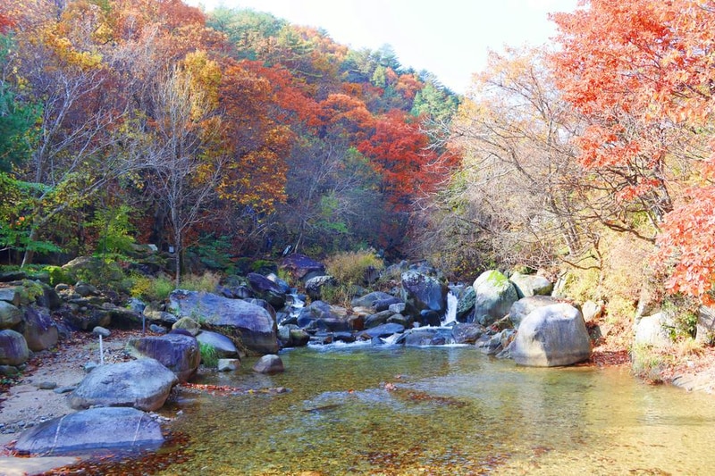 정원캠핑장 시설 사진 2