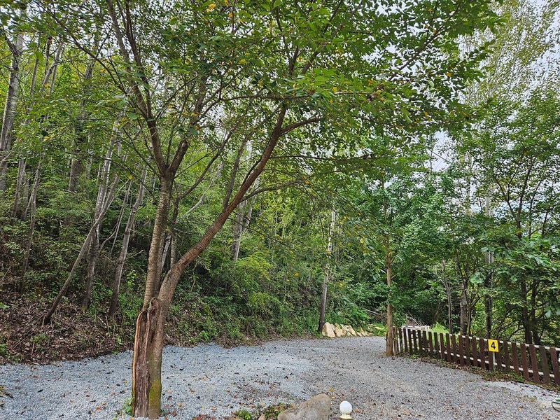 하늘하루자연관광농원 시설 사진 5