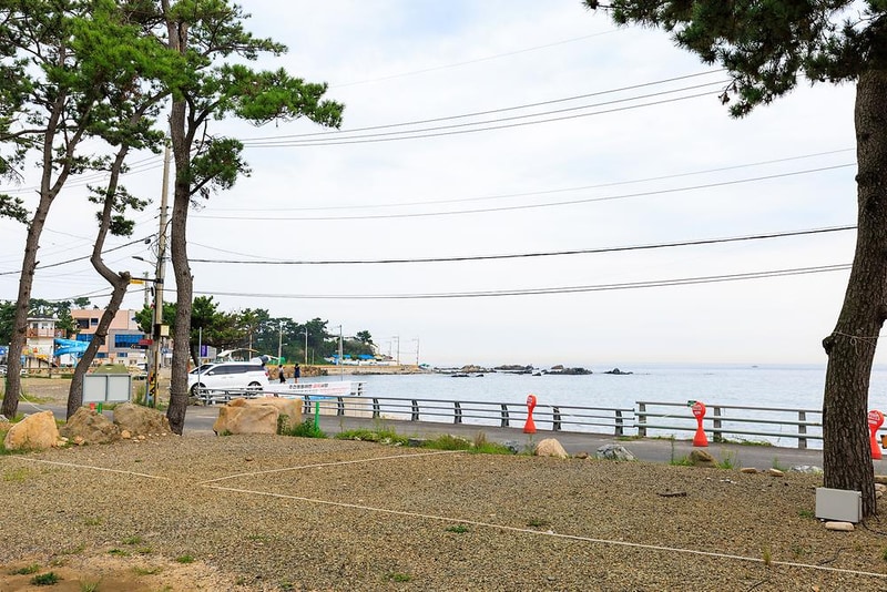 주전패밀리캠핑장 시설 사진 1