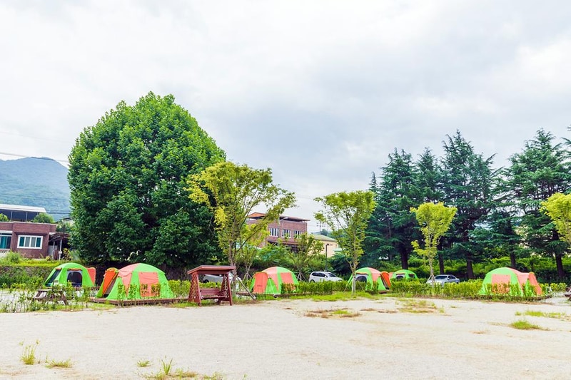상주 감꽃마을 서울캠핑장 시설 사진 6