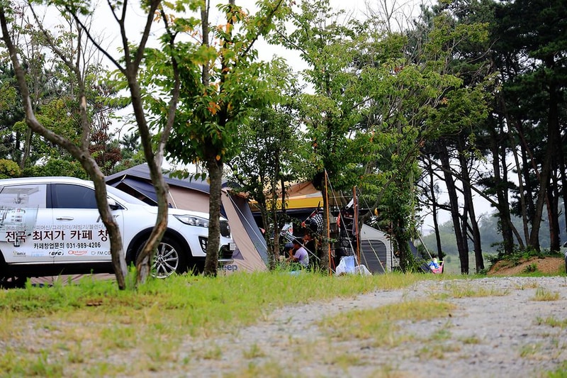 대부도 아라뜰 캠핑장 시설 사진 12