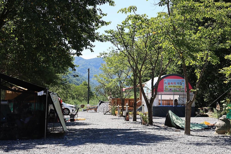 숲속의아침 시설 사진 4