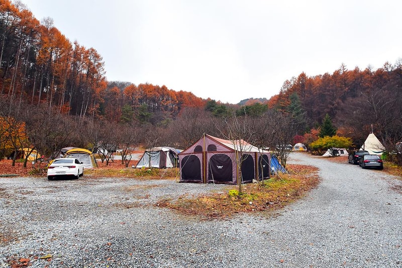 LAFORESTA(라포레스타) 시설 사진 5