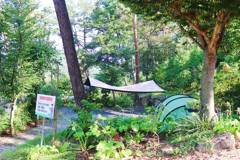 (주)러블레싱(LOVEBLEESING INC) 시설 사진 33