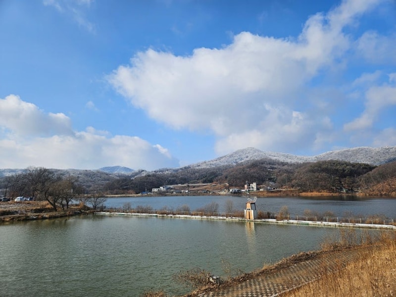용설호 해바라기캠핑장
